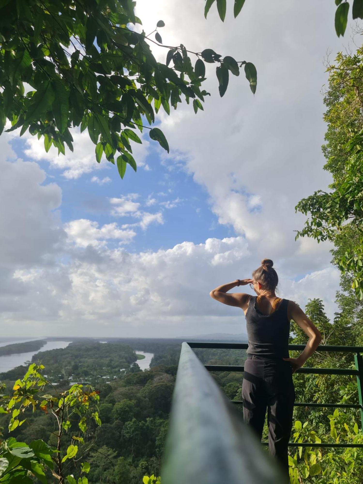 Chilamate Room Tortuguero Εξωτερικό φωτογραφία