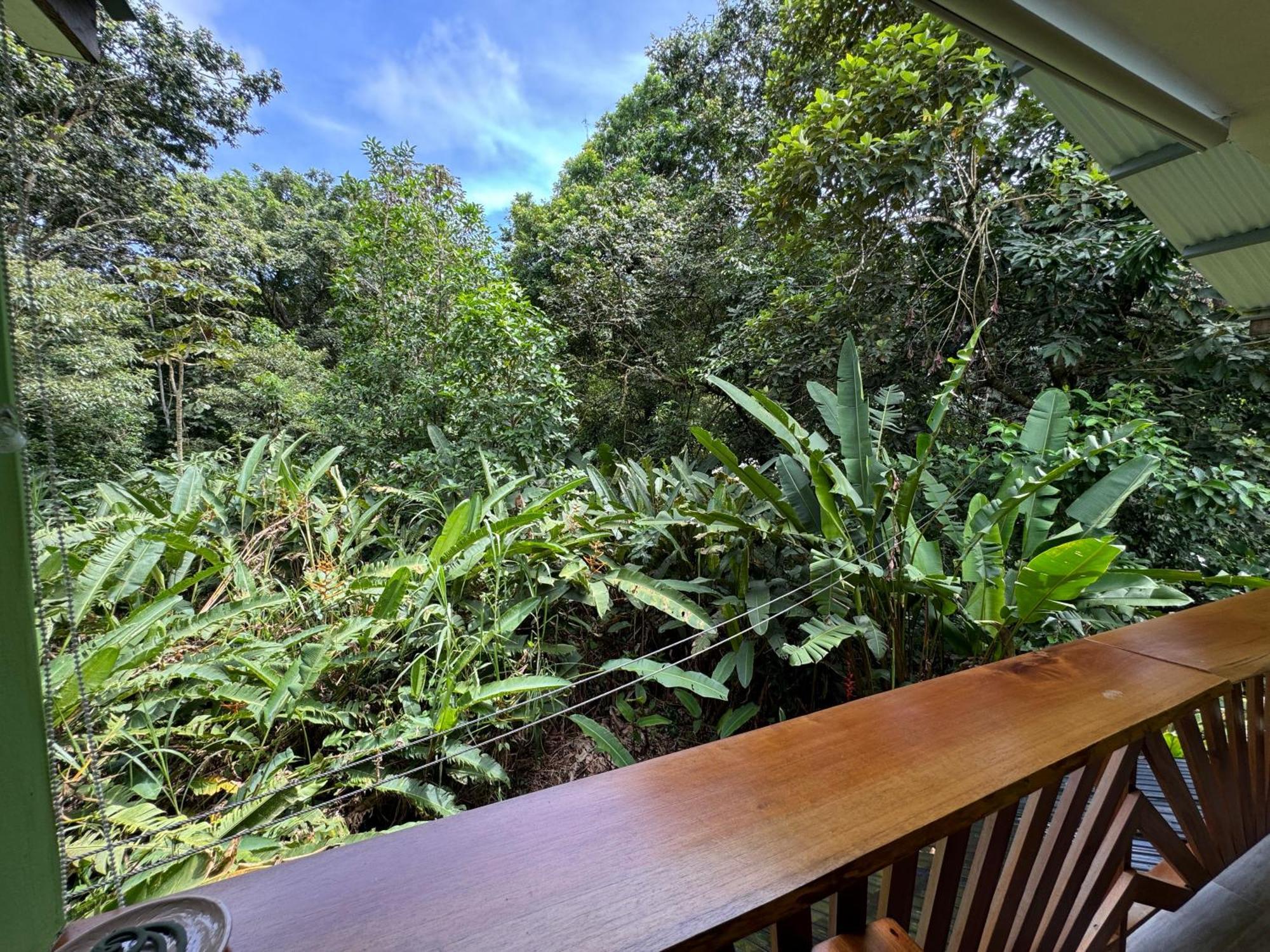 Chilamate Room Tortuguero Εξωτερικό φωτογραφία